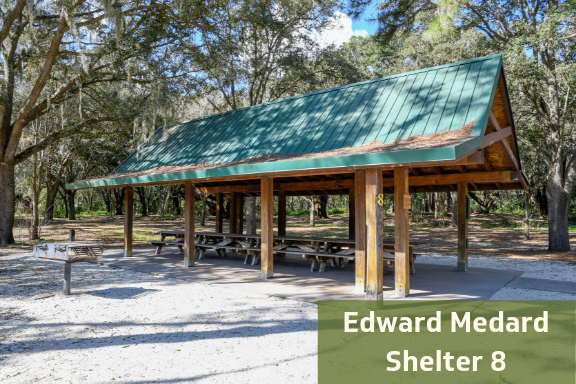 Edward Medard Shelter 08